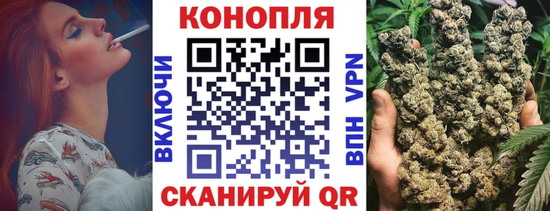 что такое   Скопин  Бошки Шишки планчик 